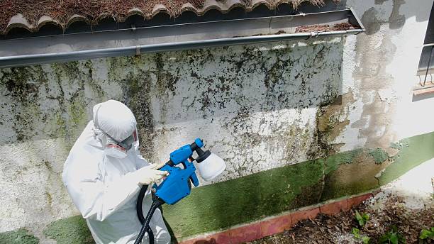 Mold Removal service in Newberg